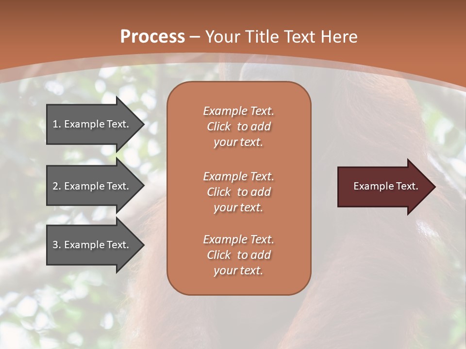 A Baby Oranguel Hanging From A Tree With Its Mother PowerPoint Template