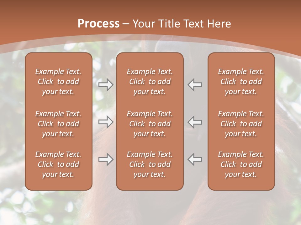 A Baby Oranguel Hanging From A Tree With Its Mother PowerPoint Template