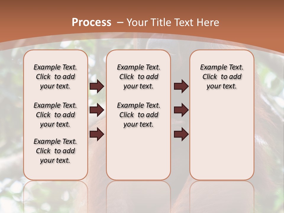 A Baby Oranguel Hanging From A Tree With Its Mother PowerPoint Template
