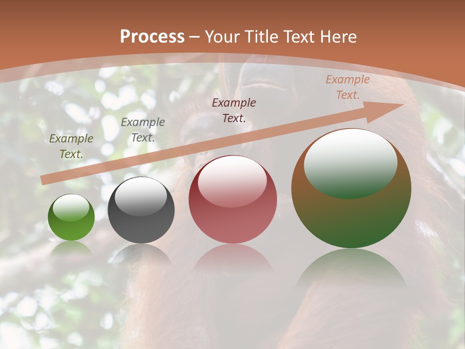 A Baby Oranguel Hanging From A Tree With Its Mother PowerPoint Template