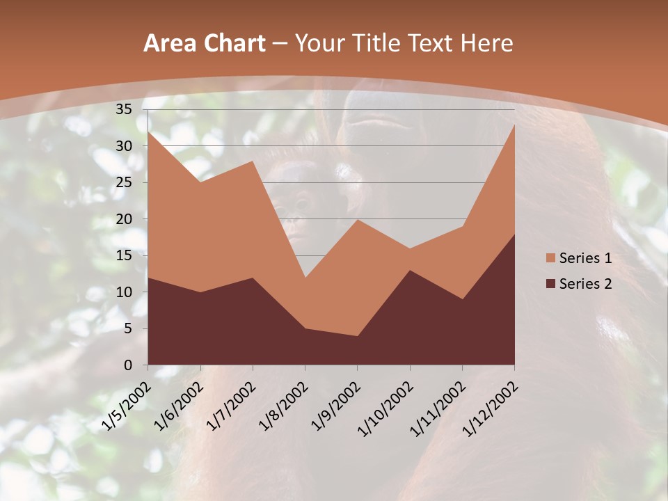 A Baby Oranguel Hanging From A Tree With Its Mother PowerPoint Template