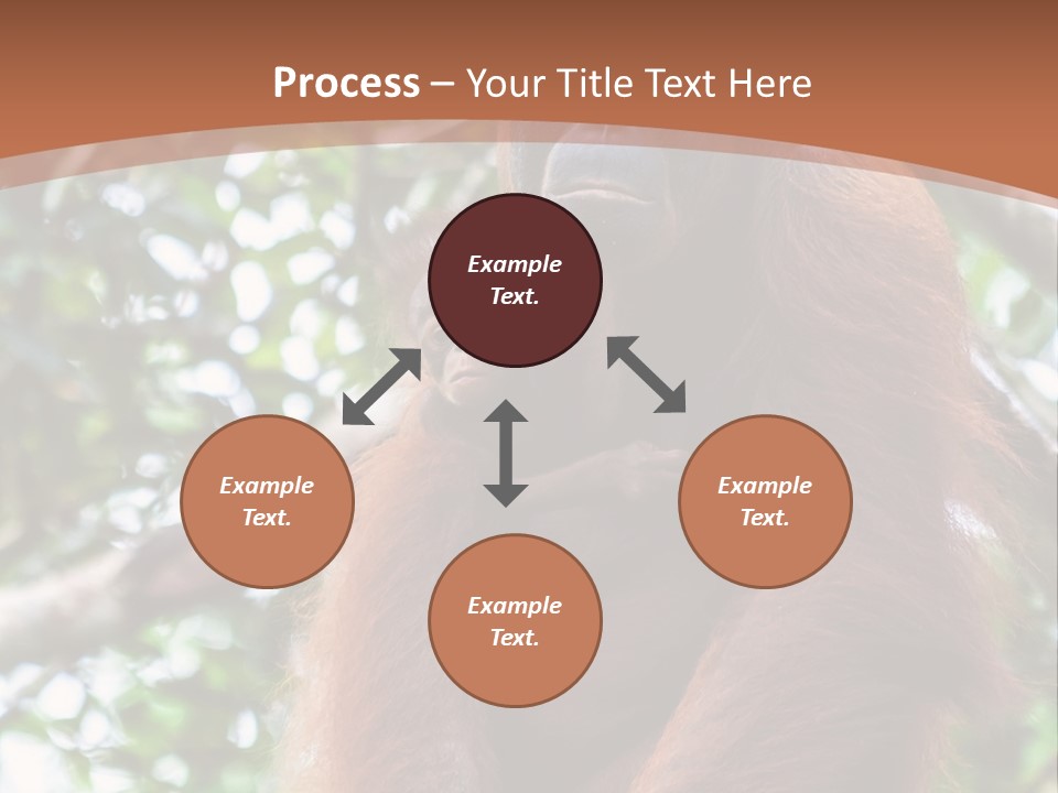 A Baby Oranguel Hanging From A Tree With Its Mother PowerPoint Template