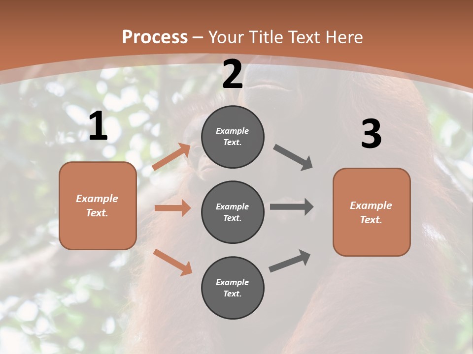 A Baby Oranguel Hanging From A Tree With Its Mother PowerPoint Template
