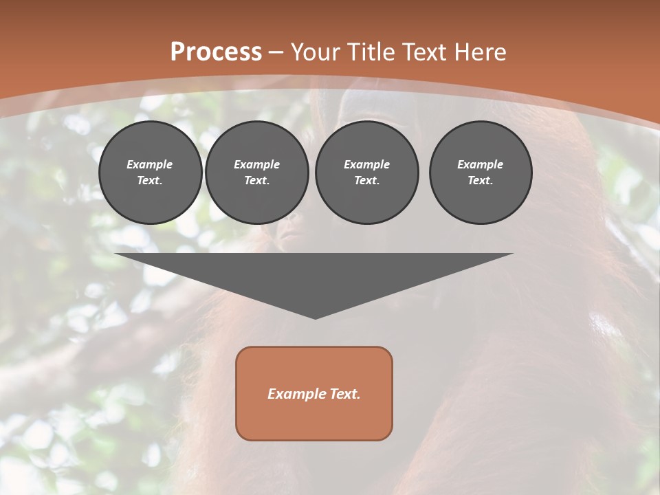 A Baby Oranguel Hanging From A Tree With Its Mother PowerPoint Template