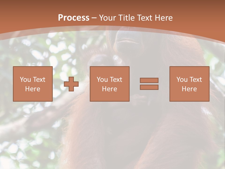 A Baby Oranguel Hanging From A Tree With Its Mother PowerPoint Template