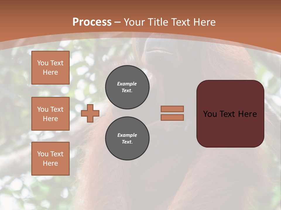 A Baby Oranguel Hanging From A Tree With Its Mother PowerPoint Template