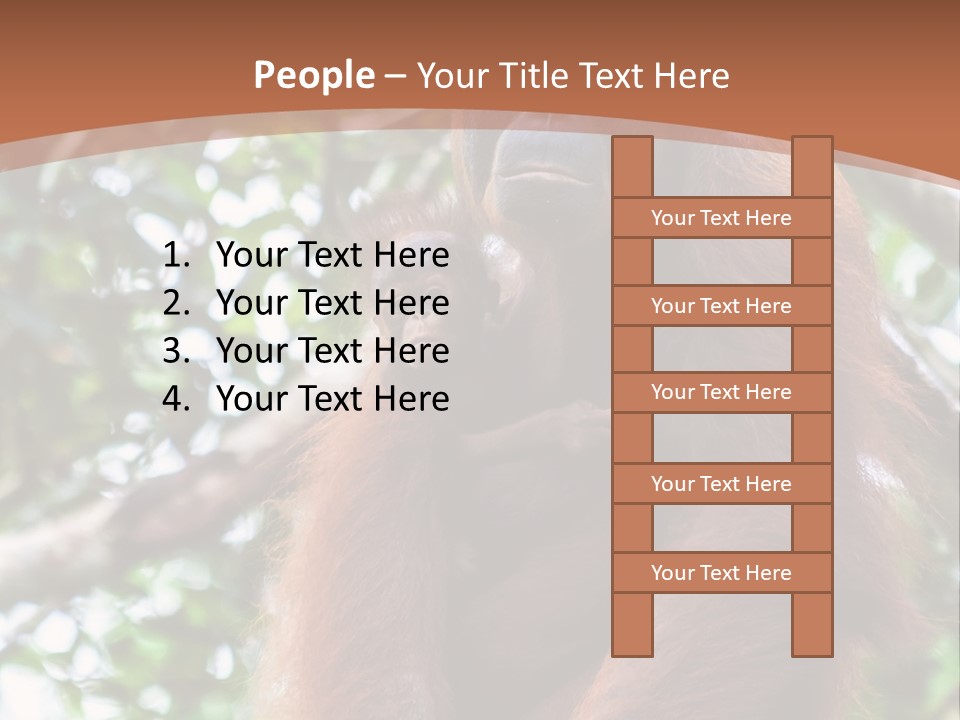 A Baby Oranguel Hanging From A Tree With Its Mother PowerPoint Template