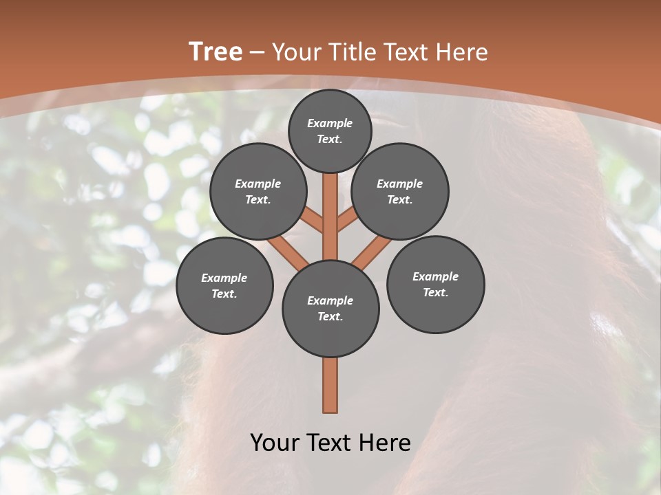 A Baby Oranguel Hanging From A Tree With Its Mother PowerPoint Template