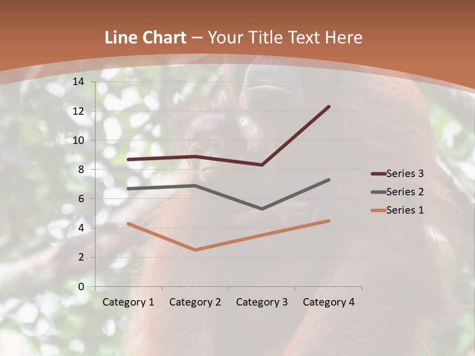 A Baby Oranguel Hanging From A Tree With Its Mother PowerPoint Template