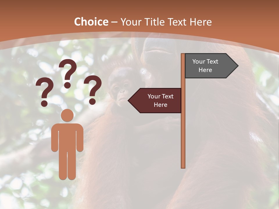 A Baby Oranguel Hanging From A Tree With Its Mother PowerPoint Template