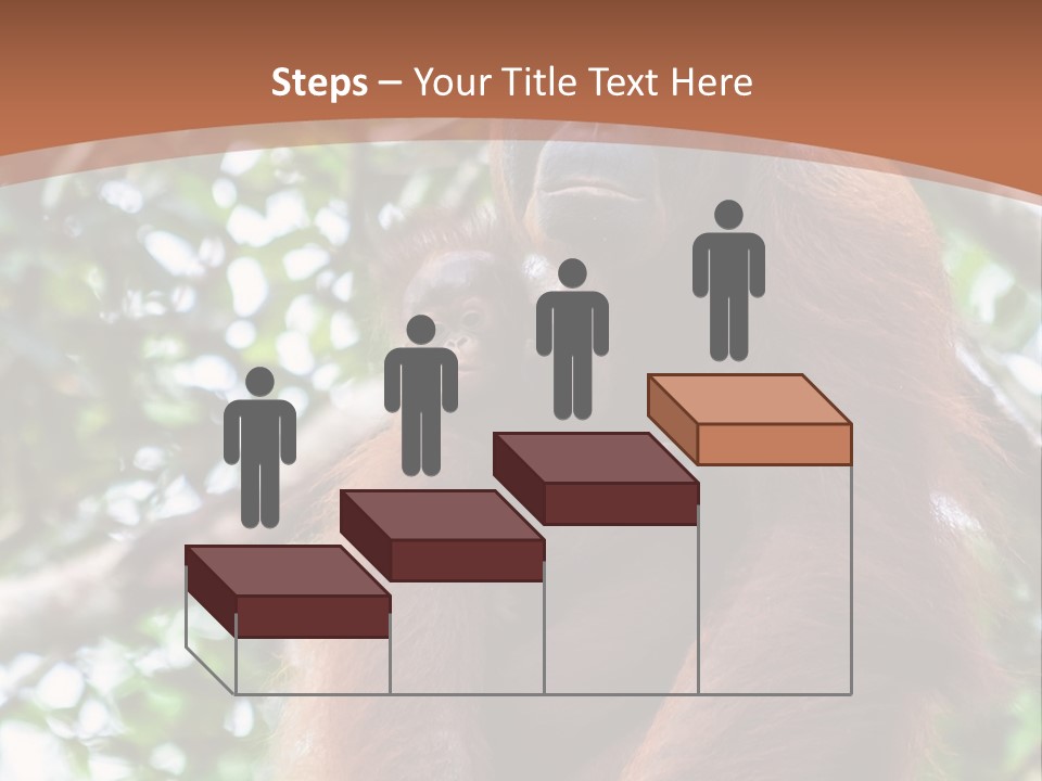 A Baby Oranguel Hanging From A Tree With Its Mother PowerPoint Template