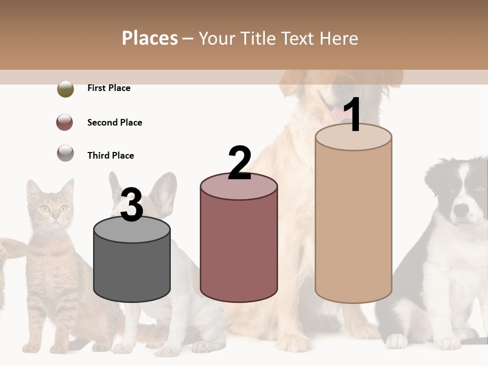 A Group Of Dogs And Cats Sitting In Front Of A Fish Bowl PowerPoint Template