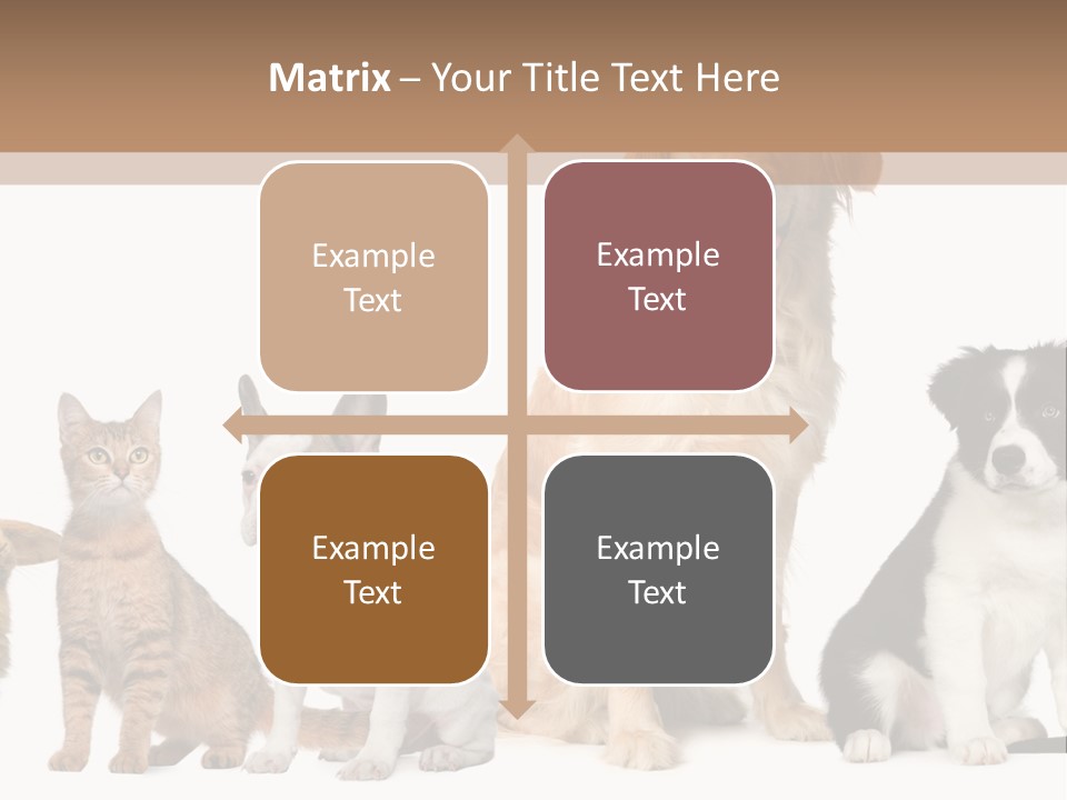 A Group Of Dogs And Cats Sitting In Front Of A Fish Bowl PowerPoint Template