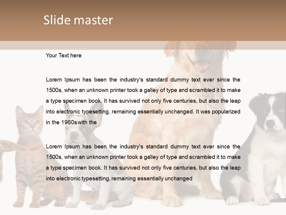 A Group Of Dogs And Cats Sitting In Front Of A Fish Bowl PowerPoint Template