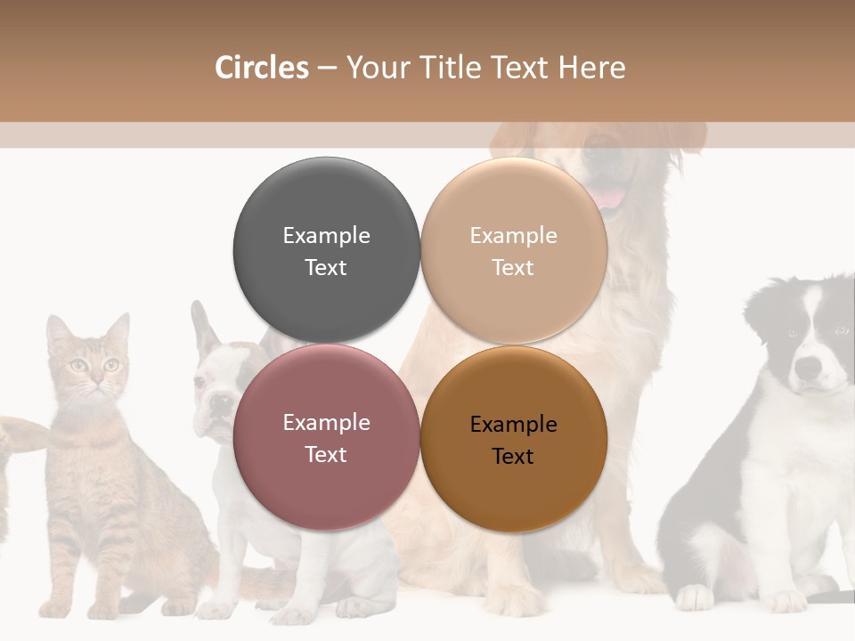 A Group Of Dogs And Cats Sitting In Front Of A Fish Bowl PowerPoint Template