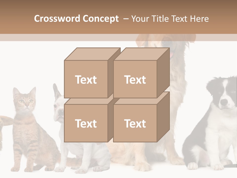 A Group Of Dogs And Cats Sitting In Front Of A Fish Bowl PowerPoint Template