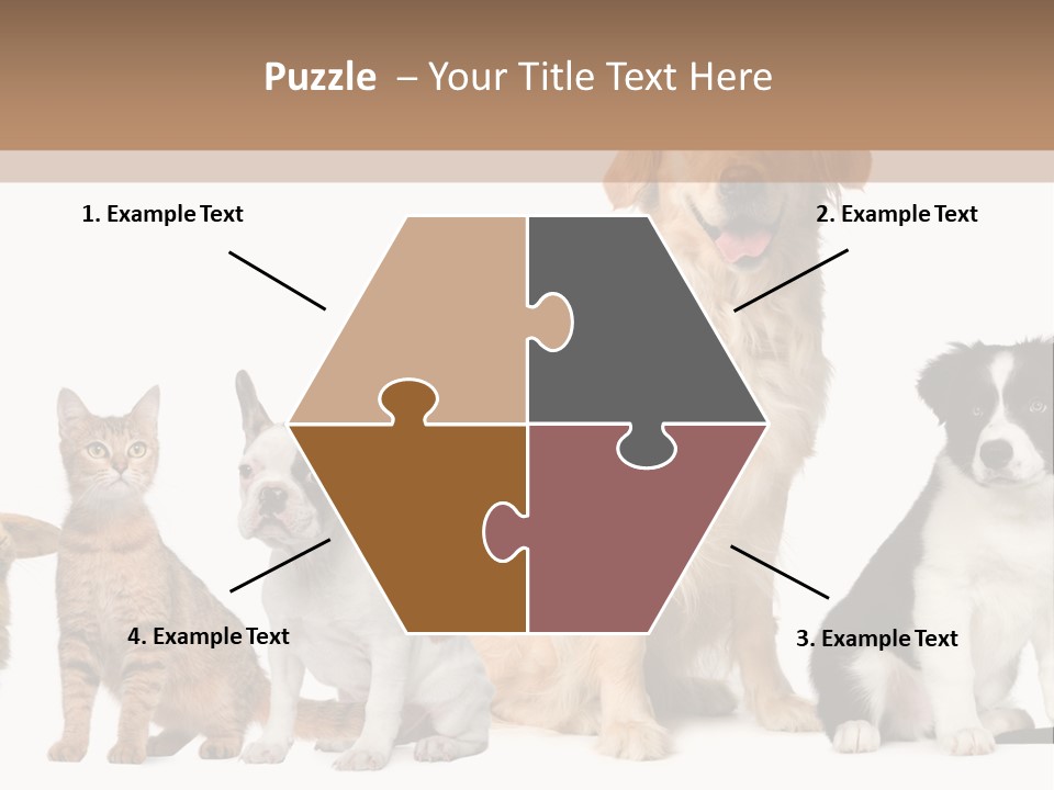 A Group Of Dogs And Cats Sitting In Front Of A Fish Bowl PowerPoint Template