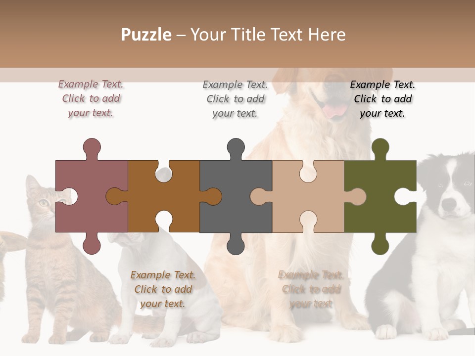A Group Of Dogs And Cats Sitting In Front Of A Fish Bowl PowerPoint Template