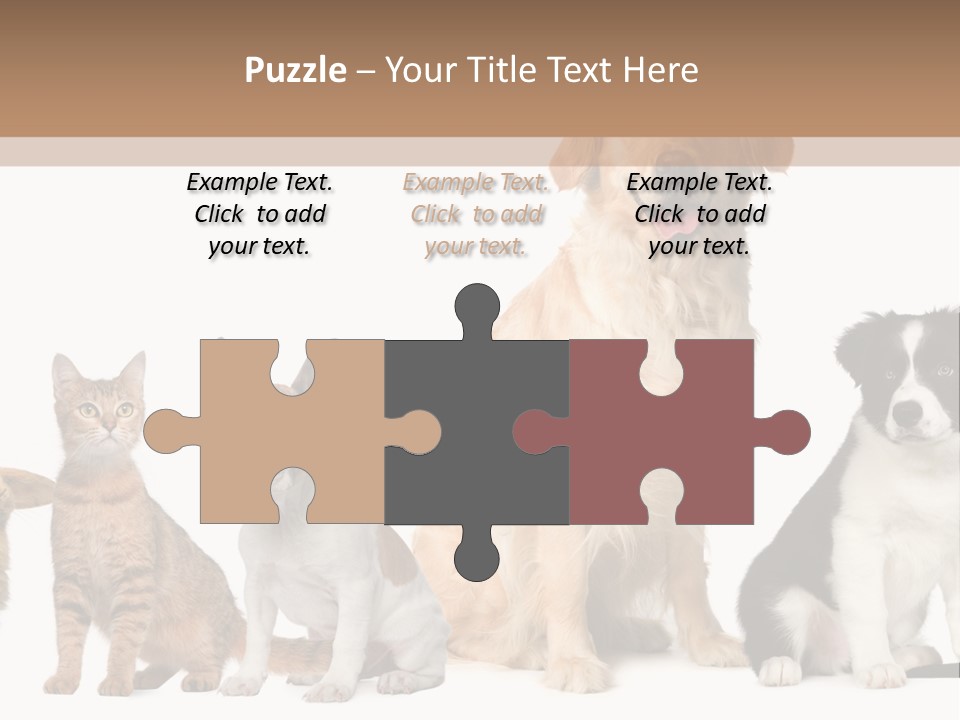 A Group Of Dogs And Cats Sitting In Front Of A Fish Bowl PowerPoint Template