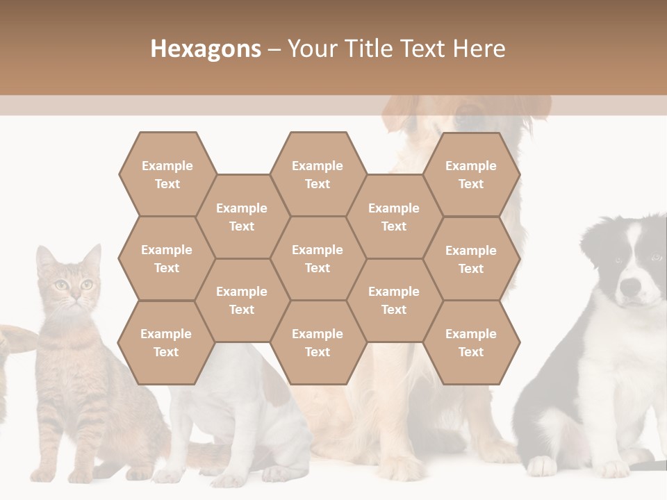 A Group Of Dogs And Cats Sitting In Front Of A Fish Bowl PowerPoint Template