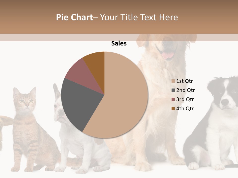 A Group Of Dogs And Cats Sitting In Front Of A Fish Bowl PowerPoint Template