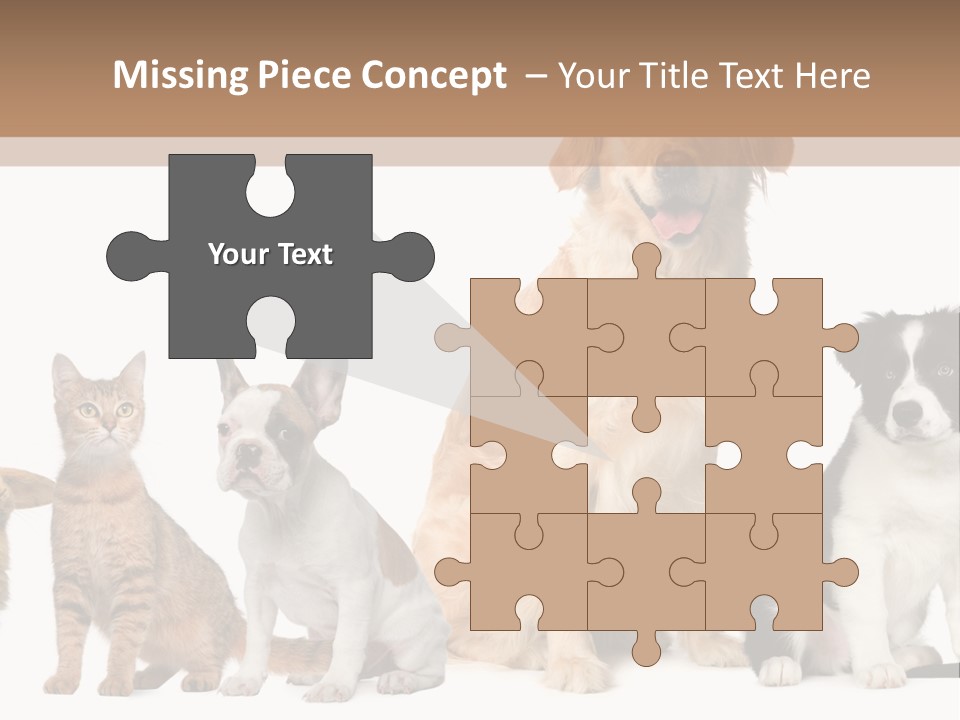 A Group Of Dogs And Cats Sitting In Front Of A Fish Bowl PowerPoint Template