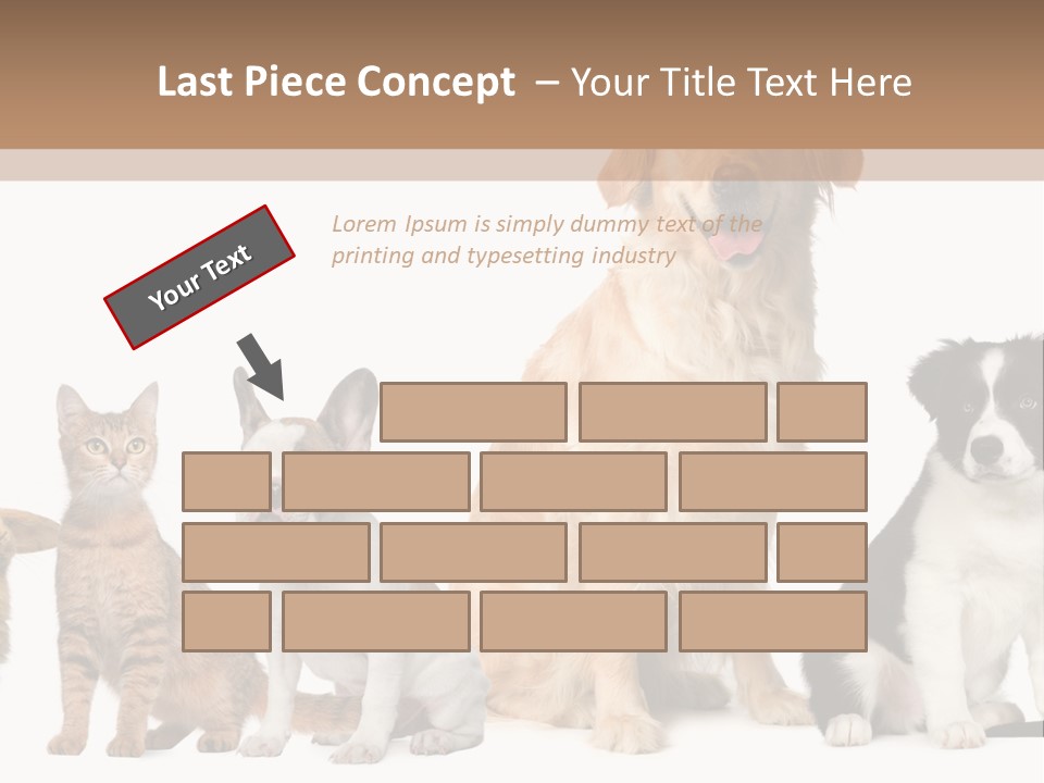 A Group Of Dogs And Cats Sitting In Front Of A Fish Bowl PowerPoint Template