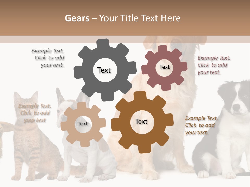 A Group Of Dogs And Cats Sitting In Front Of A Fish Bowl PowerPoint Template