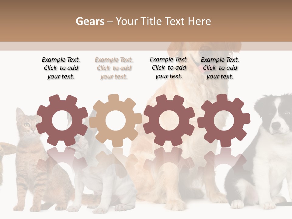 A Group Of Dogs And Cats Sitting In Front Of A Fish Bowl PowerPoint Template