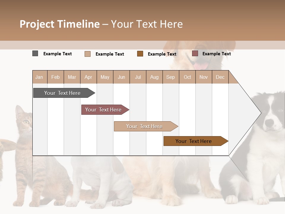 A Group Of Dogs And Cats Sitting In Front Of A Fish Bowl PowerPoint Template