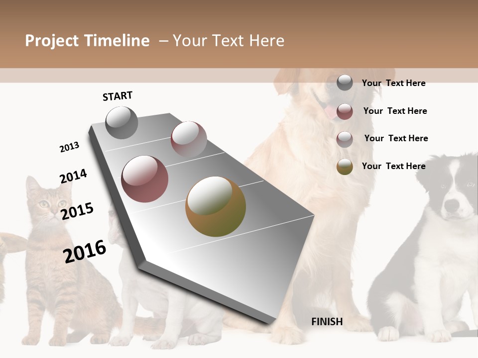 A Group Of Dogs And Cats Sitting In Front Of A Fish Bowl PowerPoint Template