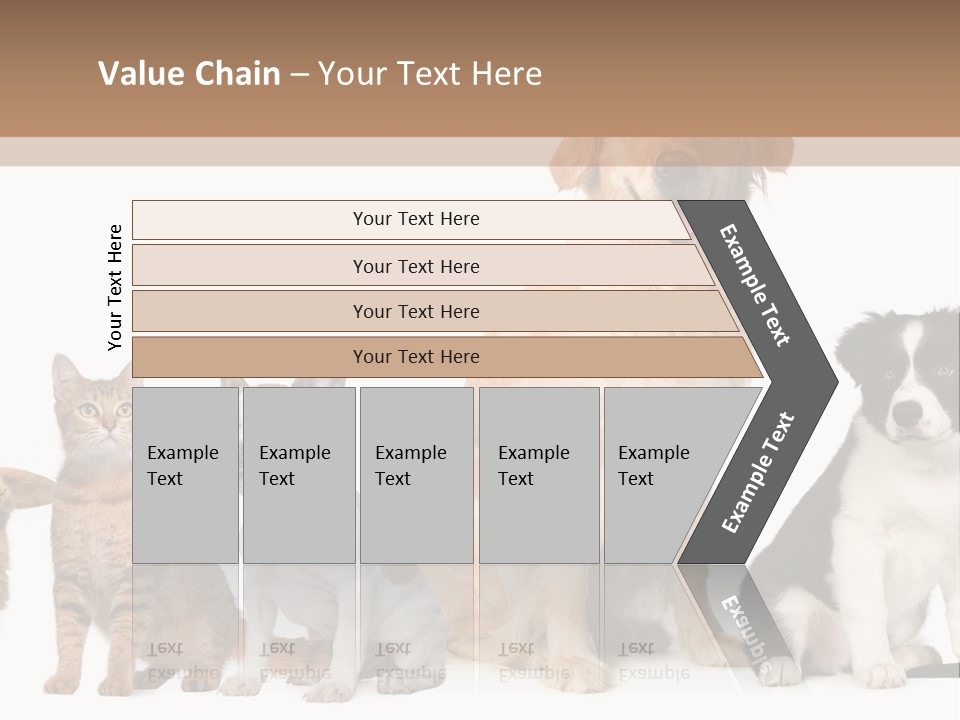 A Group Of Dogs And Cats Sitting In Front Of A Fish Bowl PowerPoint Template