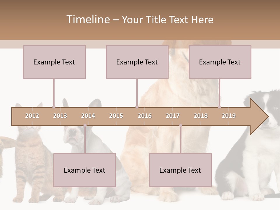 A Group Of Dogs And Cats Sitting In Front Of A Fish Bowl PowerPoint Template