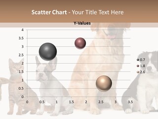 A Group Of Dogs And Cats Sitting In Front Of A Fish Bowl PowerPoint Template