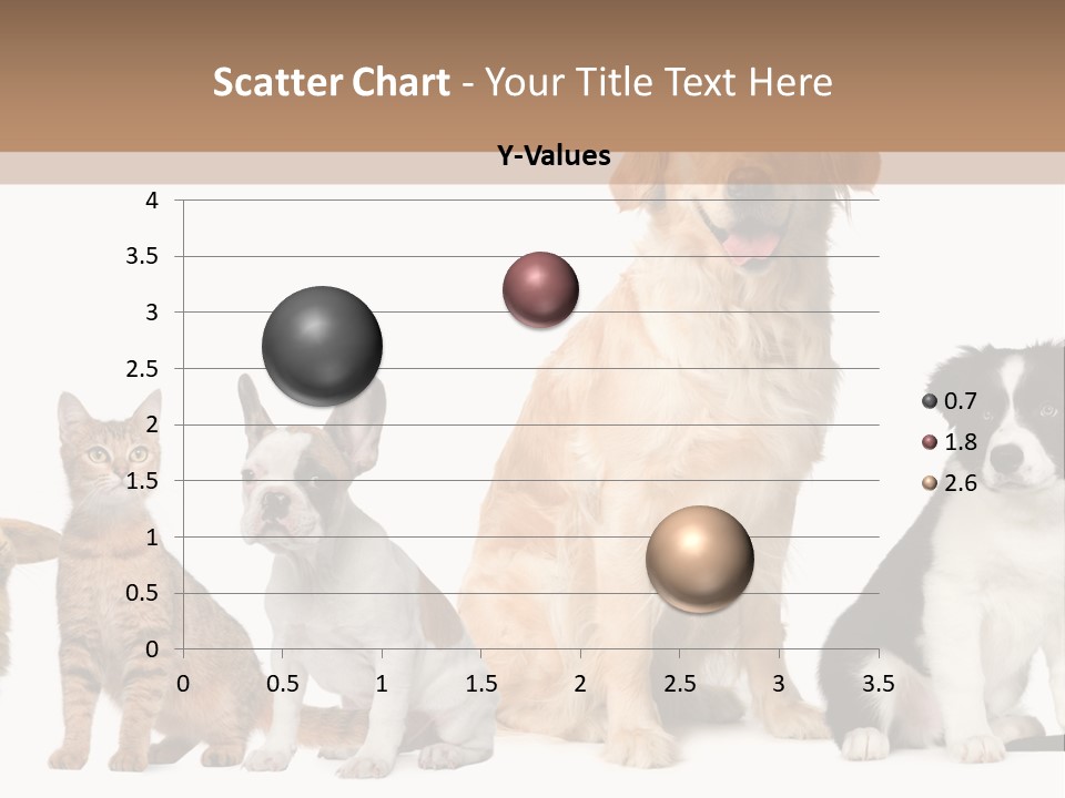 A Group Of Dogs And Cats Sitting In Front Of A Fish Bowl PowerPoint Template