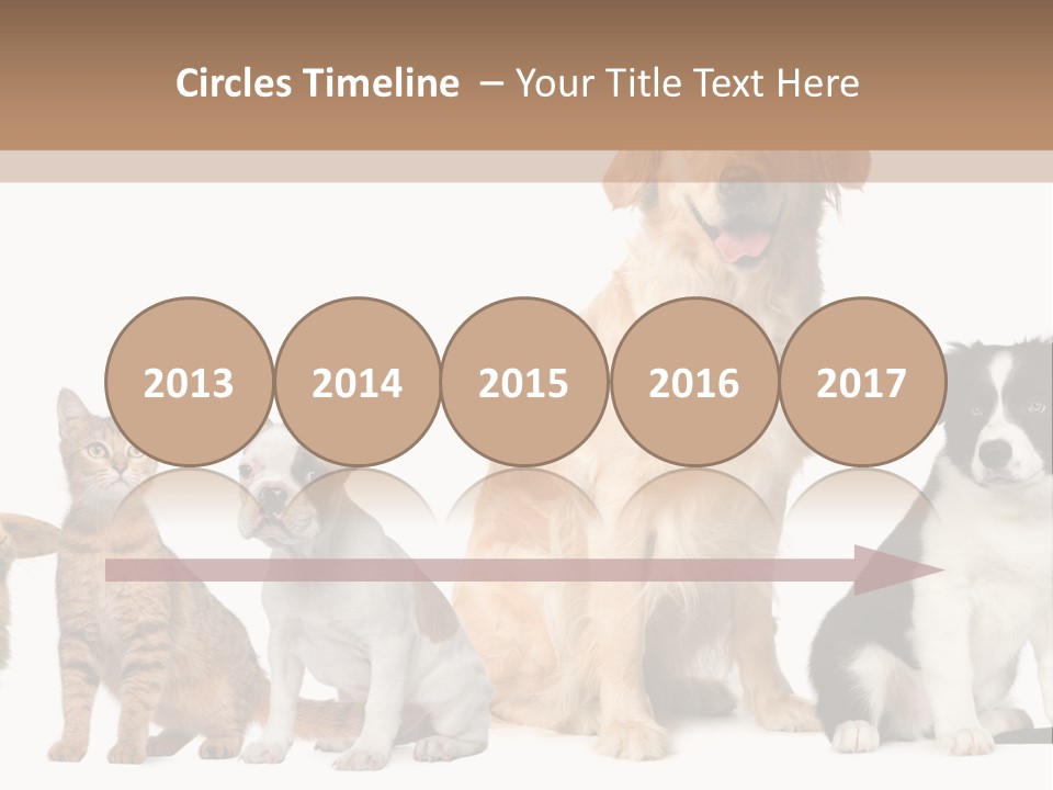 A Group Of Dogs And Cats Sitting In Front Of A Fish Bowl PowerPoint Template