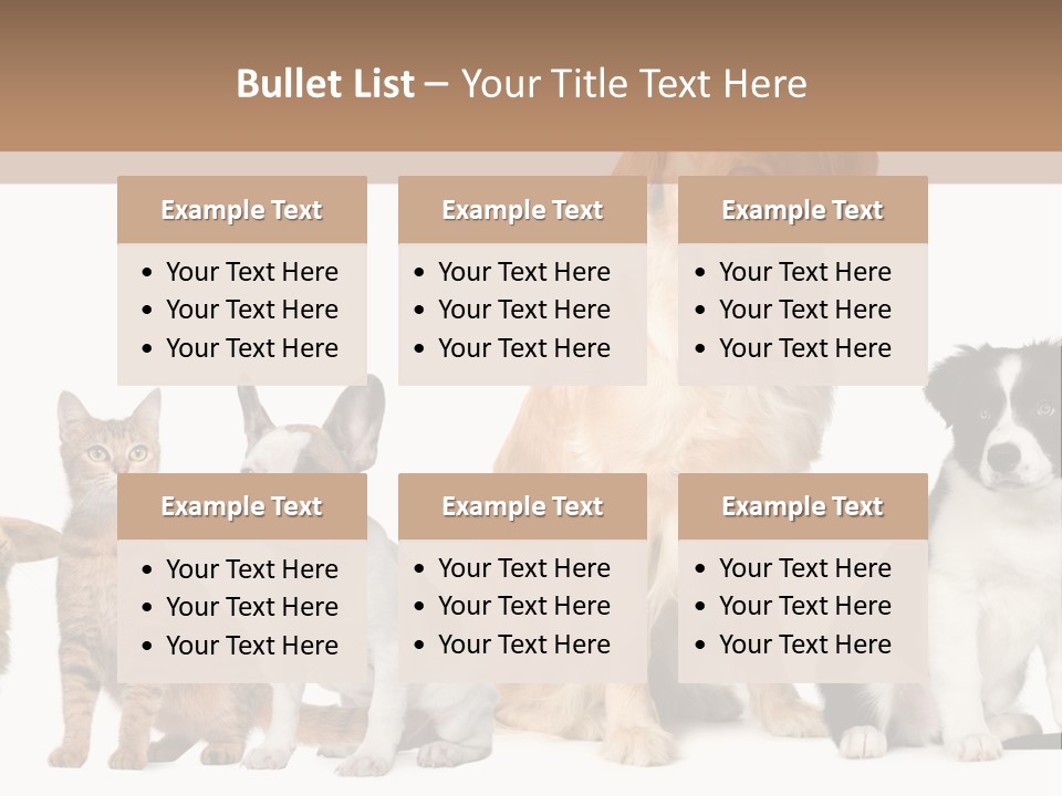 A Group Of Dogs And Cats Sitting In Front Of A Fish Bowl PowerPoint Template