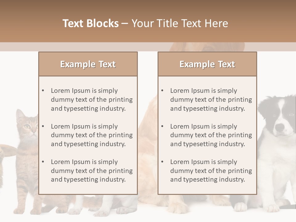 A Group Of Dogs And Cats Sitting In Front Of A Fish Bowl PowerPoint Template