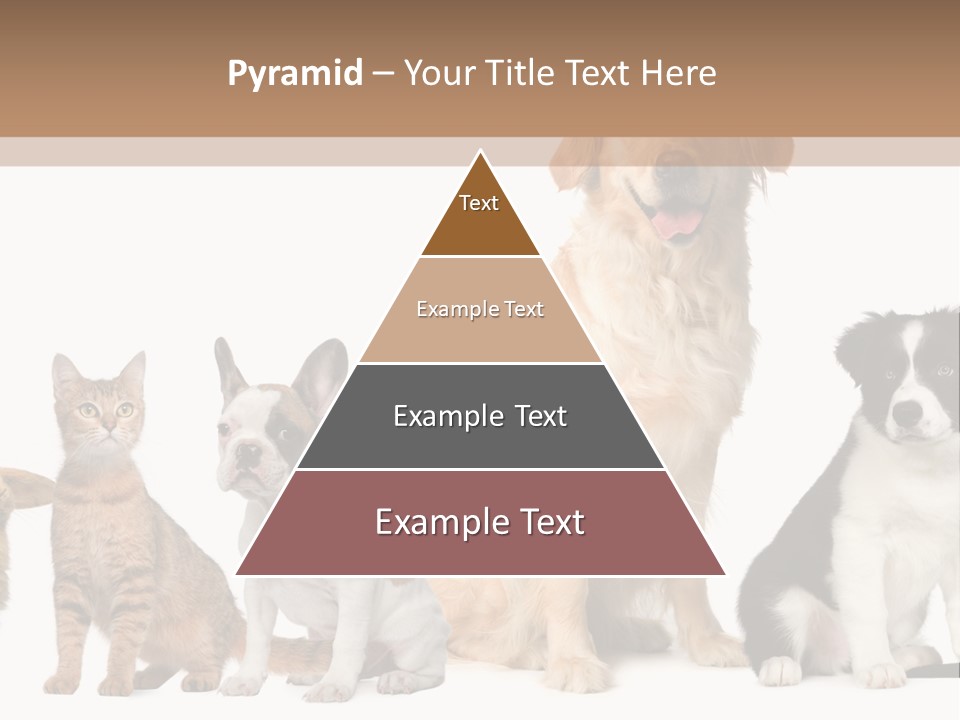 A Group Of Dogs And Cats Sitting In Front Of A Fish Bowl PowerPoint Template