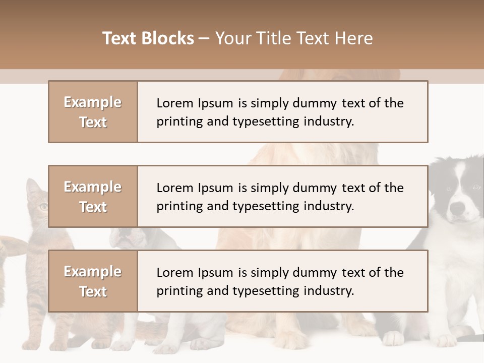 A Group Of Dogs And Cats Sitting In Front Of A Fish Bowl PowerPoint Template