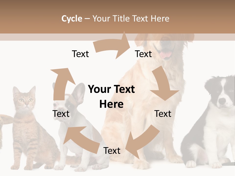 A Group Of Dogs And Cats Sitting In Front Of A Fish Bowl PowerPoint Template