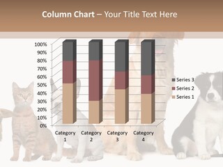 A Group Of Dogs And Cats Sitting In Front Of A Fish Bowl PowerPoint Template