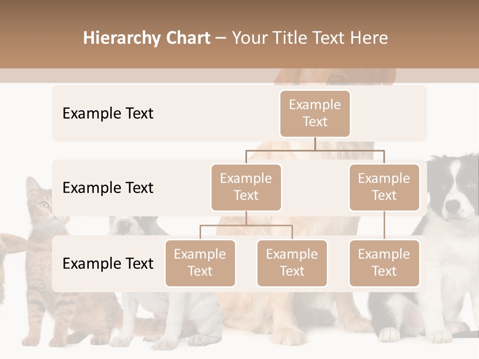 A Group Of Dogs And Cats Sitting In Front Of A Fish Bowl PowerPoint Template