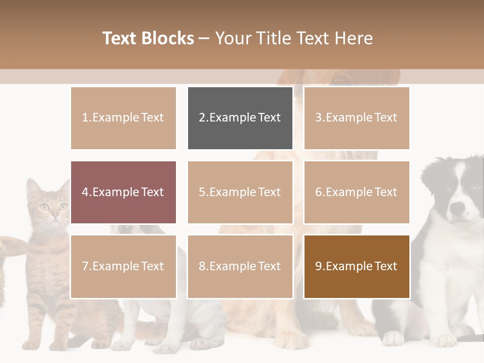 A Group Of Dogs And Cats Sitting In Front Of A Fish Bowl PowerPoint Template