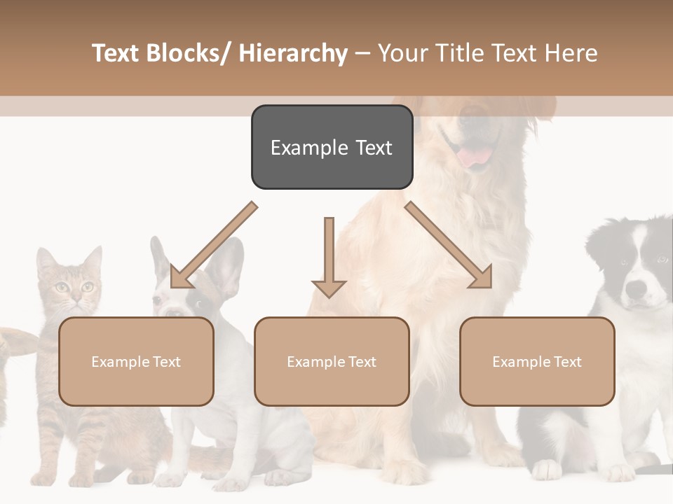 A Group Of Dogs And Cats Sitting In Front Of A Fish Bowl PowerPoint Template