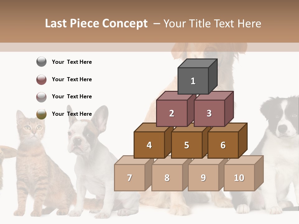 A Group Of Dogs And Cats Sitting In Front Of A Fish Bowl PowerPoint Template