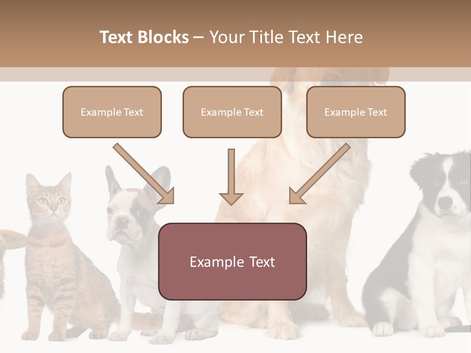A Group Of Dogs And Cats Sitting In Front Of A Fish Bowl PowerPoint Template
