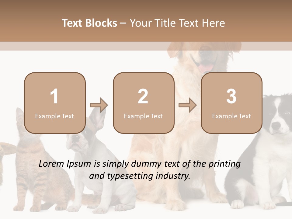 A Group Of Dogs And Cats Sitting In Front Of A Fish Bowl PowerPoint Template