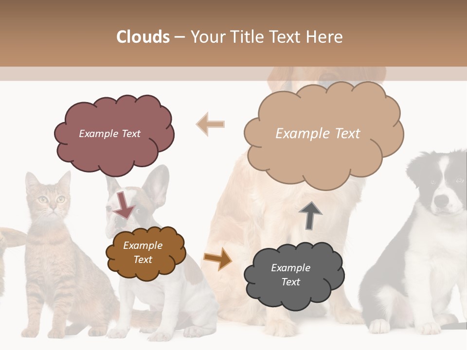 A Group Of Dogs And Cats Sitting In Front Of A Fish Bowl PowerPoint Template