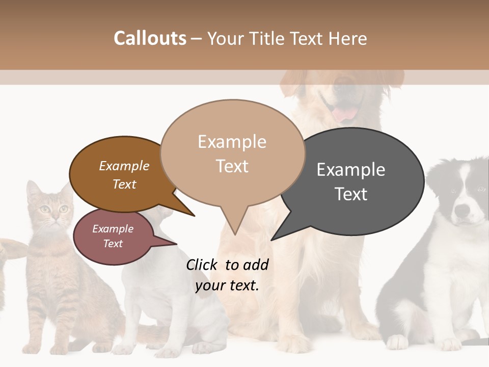 A Group Of Dogs And Cats Sitting In Front Of A Fish Bowl PowerPoint Template